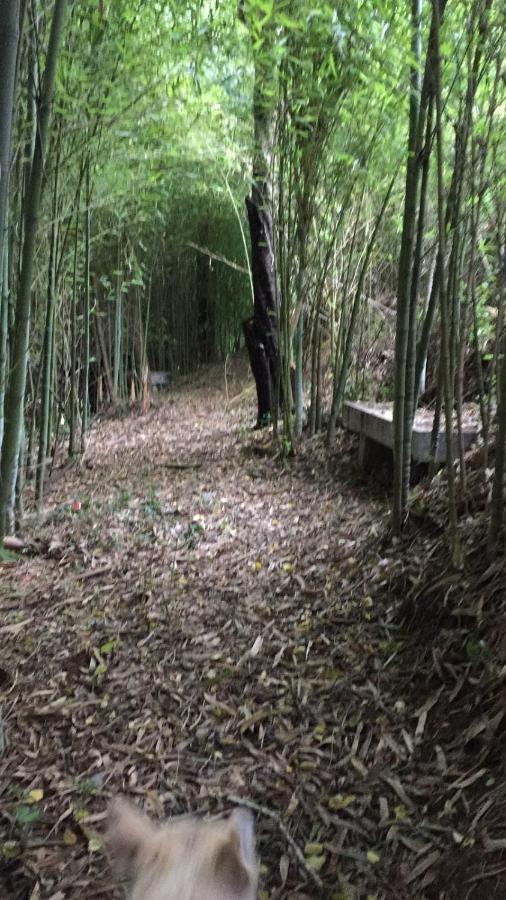 PortasCasina Os Lueiro别墅 外观 照片